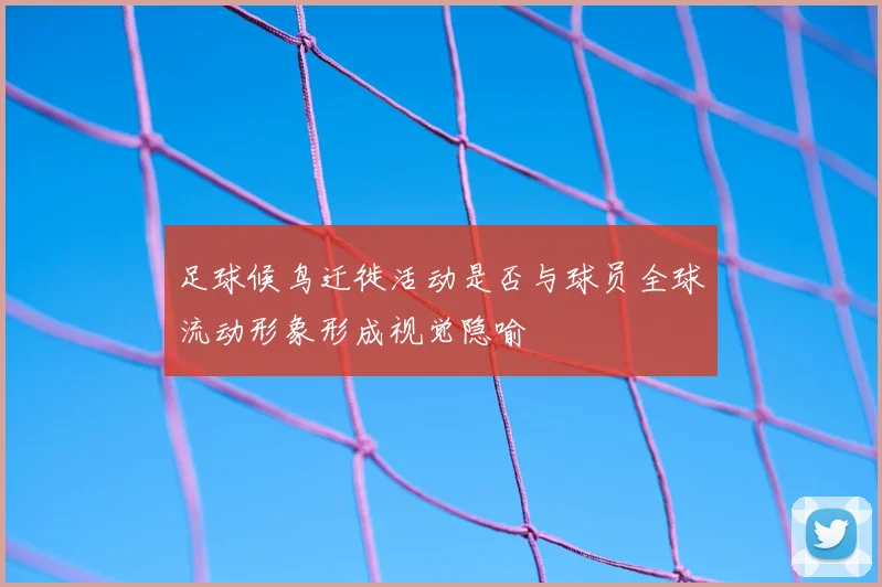 足球候鸟迁徙活动是否与球员全球流动形象形成视觉隐喻
