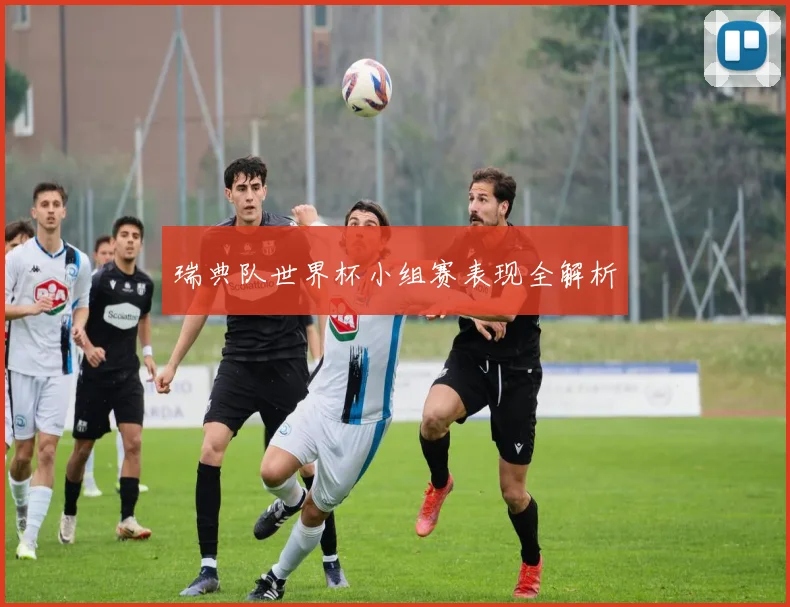 瑞典队世界杯小组赛表现全解析